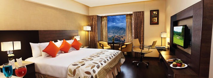 720/Hotel Vrisa - Jaipur 09.jpg